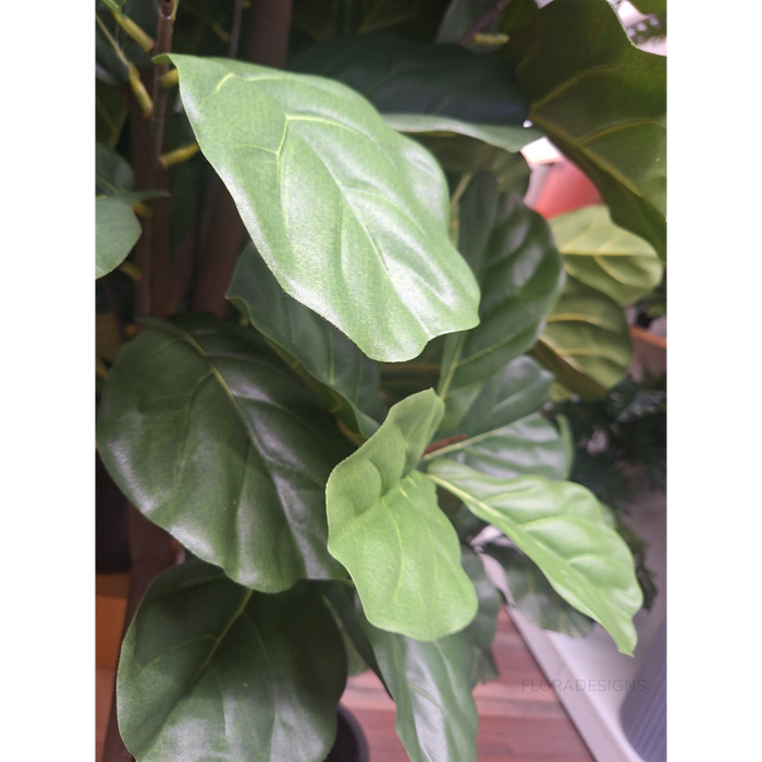 Fiddle Leaf Tree Green 153cm Pack of 2
