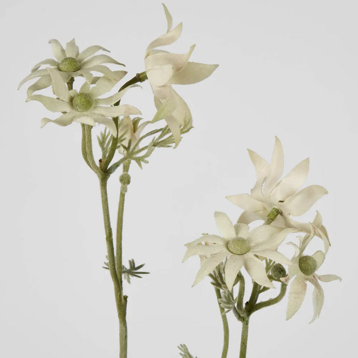 Flannel Flower Spray 75cm Pack of 12