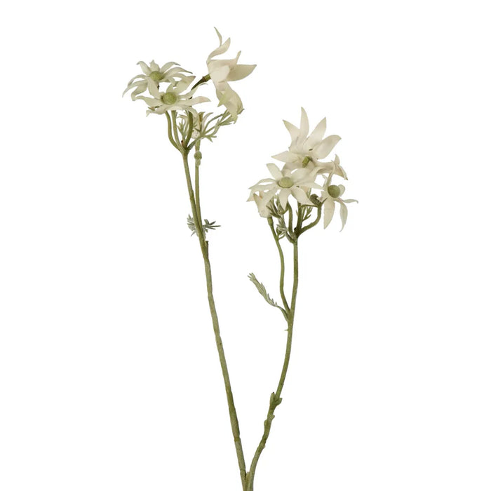 Flannel Flower Spray 75cm Pack of 12