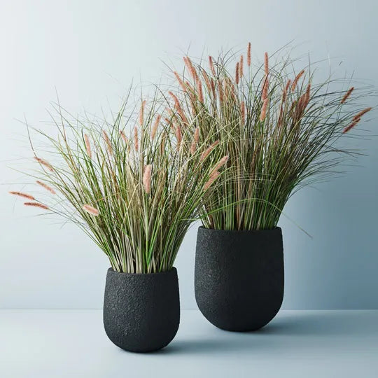 Foxtail Grass Plant Mauve Green 116cm Pack of 2