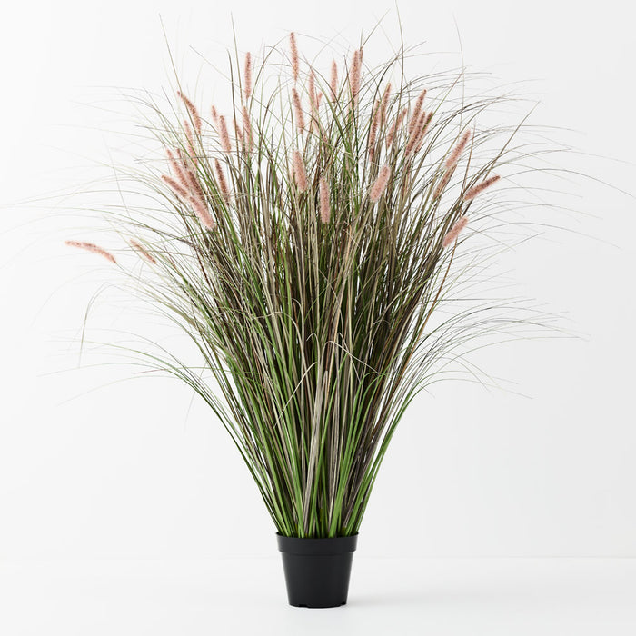 Foxtail Grass Plant Mauve Green 116cm Pack of 2