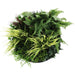 Slimline Artificial Green Wall Disc Art Grassy Fern Fields 50cm - FLORA DESIGNS