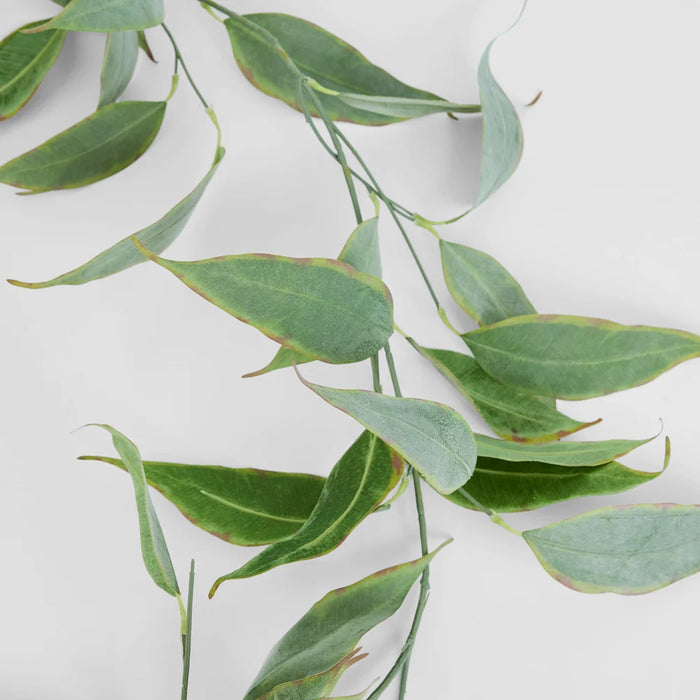 Garland Eucalyptus 180cm Green and Brown Pack of 6