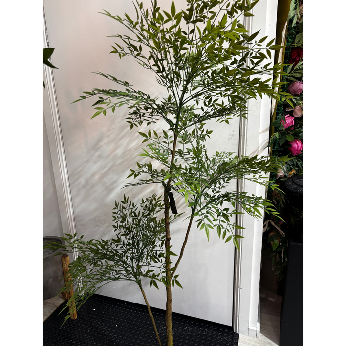 Green Nandina Tree 170cm