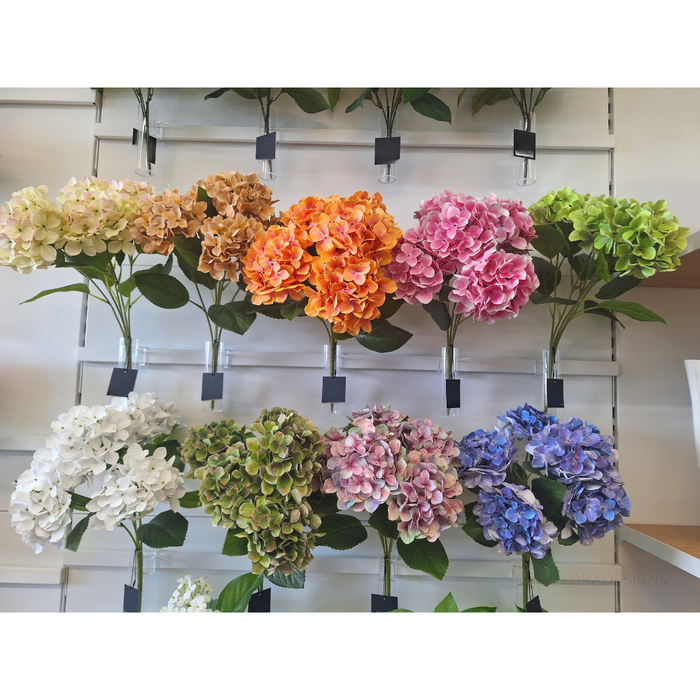 Hydrangea Bush White 50cm - Pack of 12