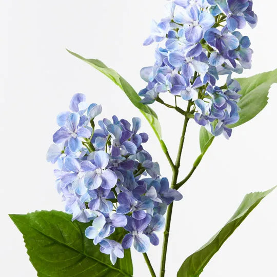 Hydrangea Cone Spray Blue 77cm - Pack of 12
