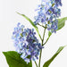 Hydrangea Cone Spray Blue 77cm - Pack of 12
