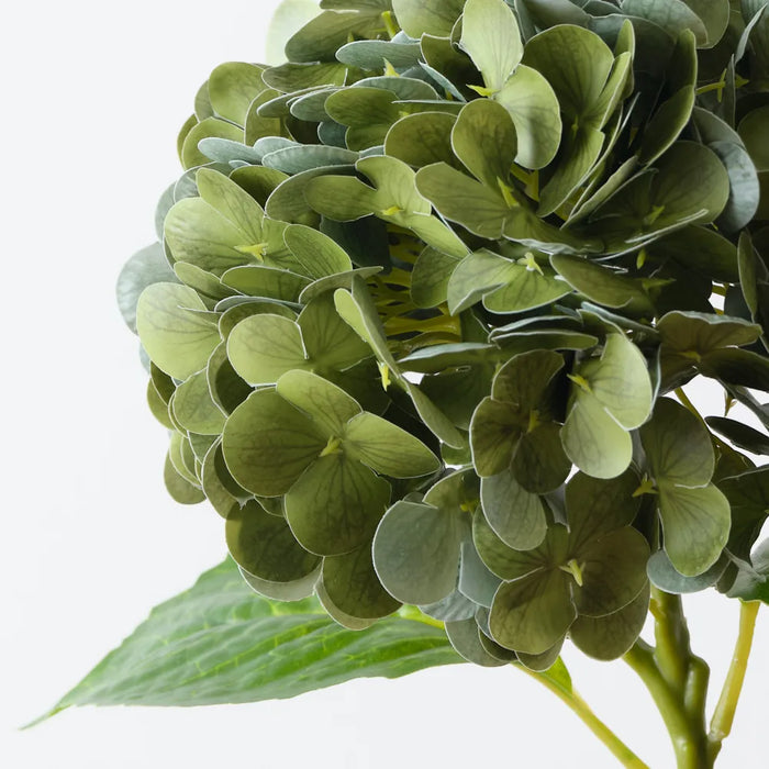 Hydrangea Moss Green 49cm Pack of 12 - For Clearance