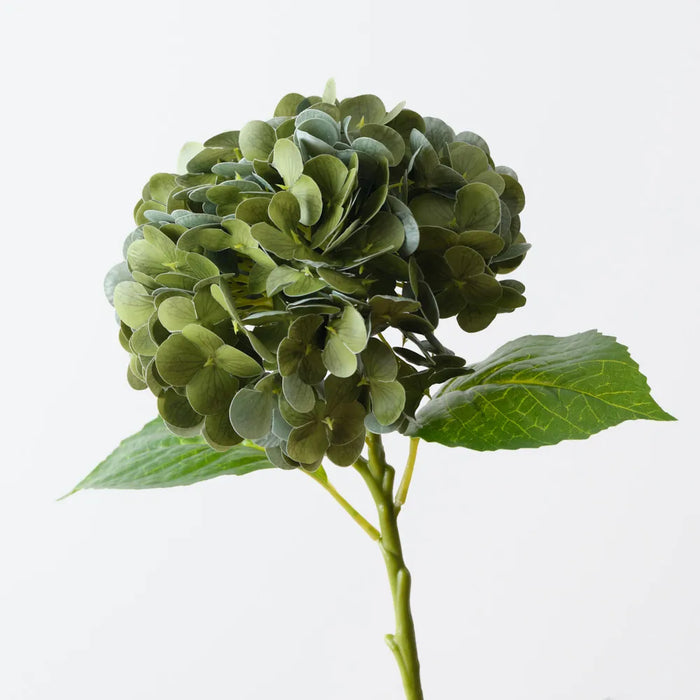 Hydrangea Moss Green 49cm Pack of 12 - For Clearance