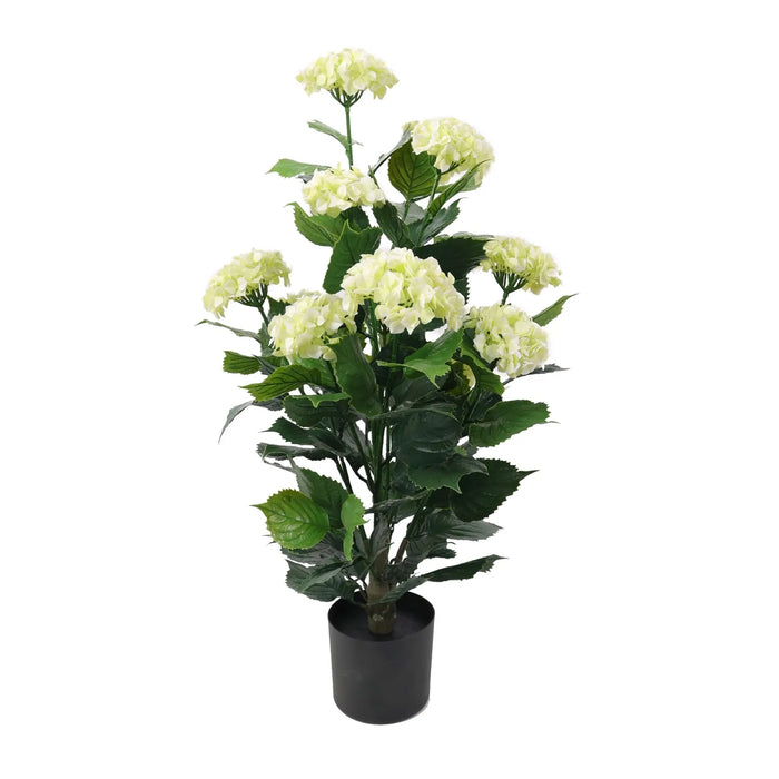 Hydrangea Plant White UV Resistant 90cm