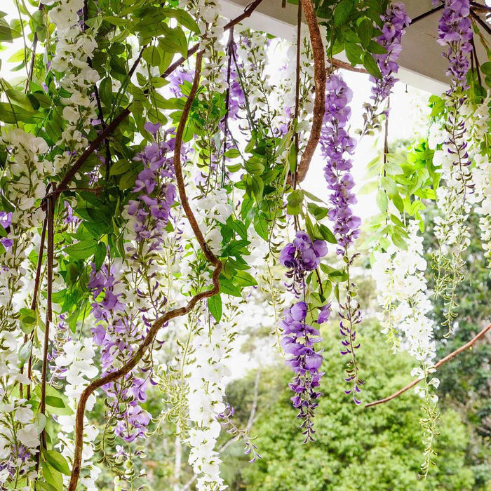 Artificial Wisteria Garland White 200cm White - FLORA DESIGNS