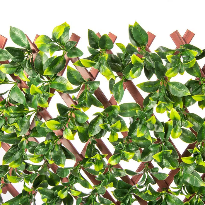 Jasmine Hedge Extendable Trellis UV Resistant  2m x 1m