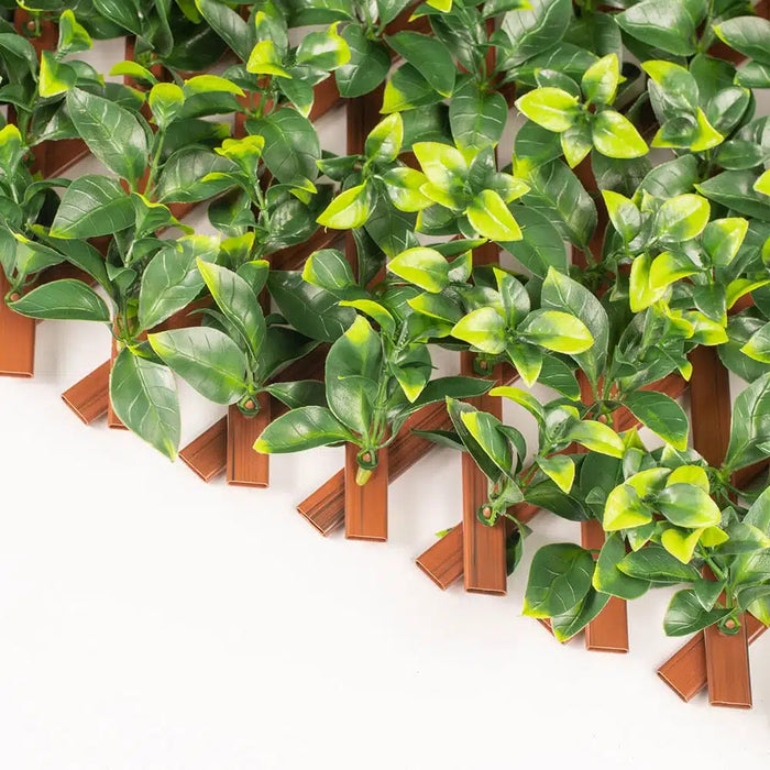 Jasmine Hedge Extendable Trellis UV Resistant  2m x 1m