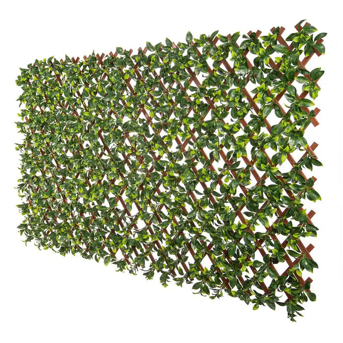 Jasmine Hedge Extendable Trellis UV Resistant  2m x 1m