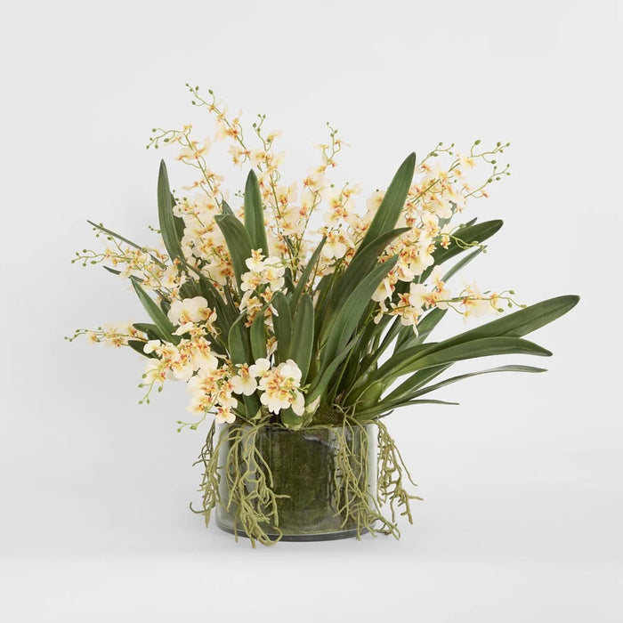 Lacey Arrangement 85cm Cream in Glass Vase