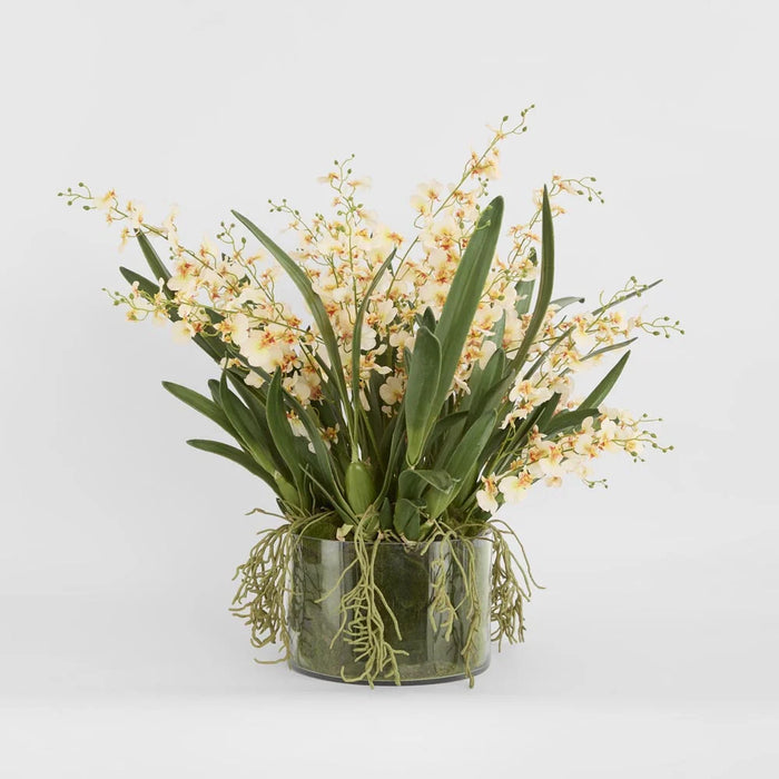 Lacey Arrangement 85cm Cream in Glass Vase
