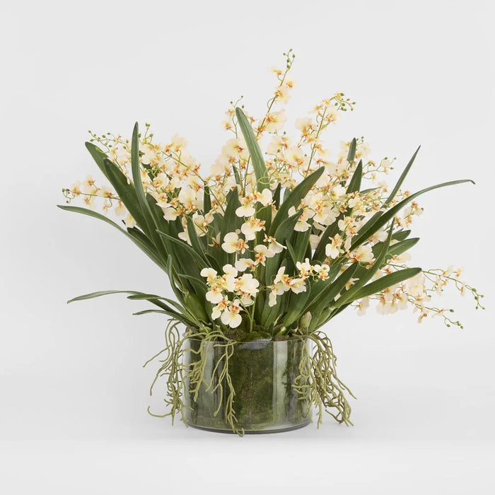 Lacey Arrangement 85cm Cream in Glass Vase