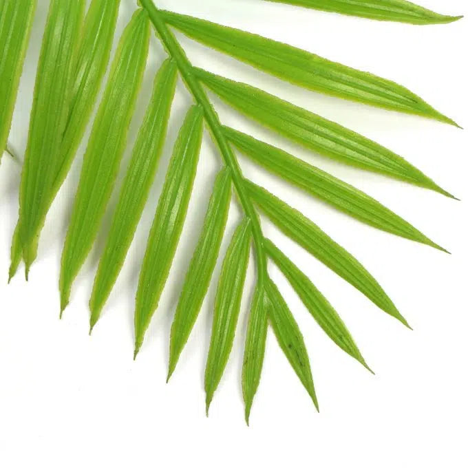 Artificial Hanging Fresh Green Bamboo Leaf Fern UV Resistant 80cm Set of 2