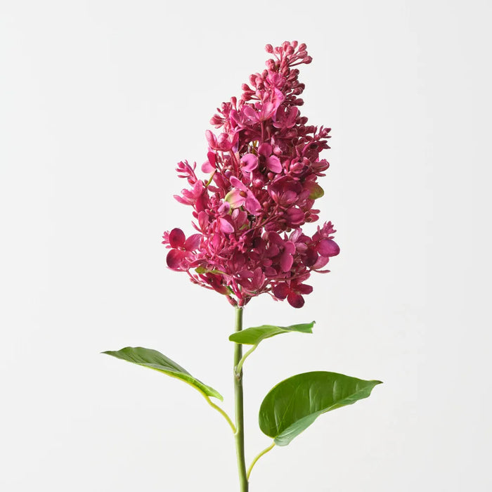 Lilac Spray 61cm Fuschia Pink - Pack of 12