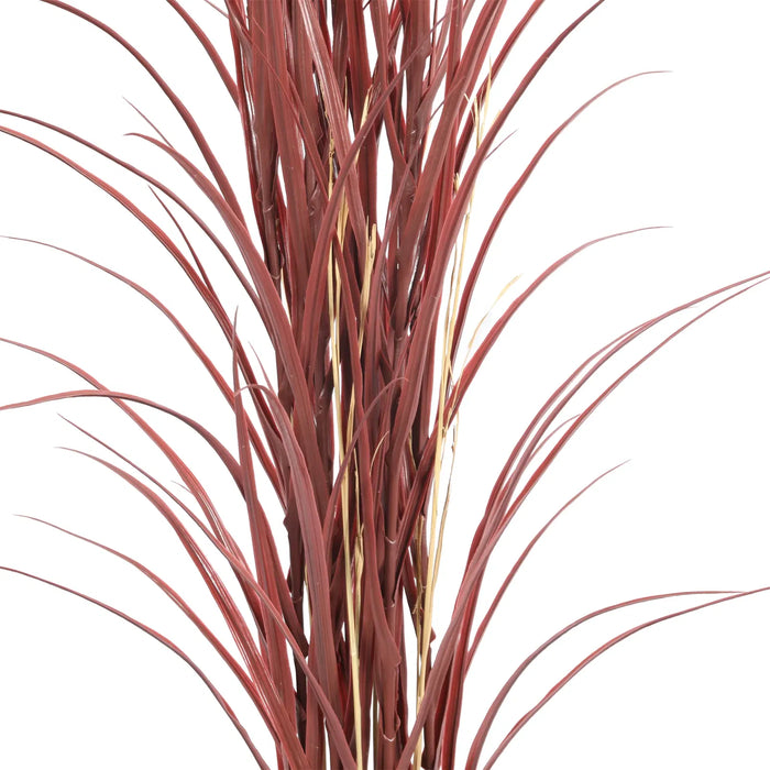 Long Grass Yucca in Pot 180cm Burgundy UV Resistant