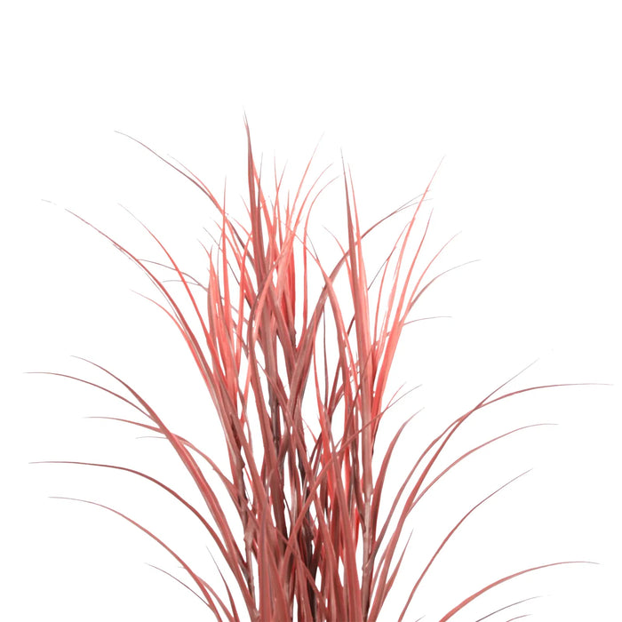 Long Grass Yucca in Pot 180cm Burgundy UV Resistant