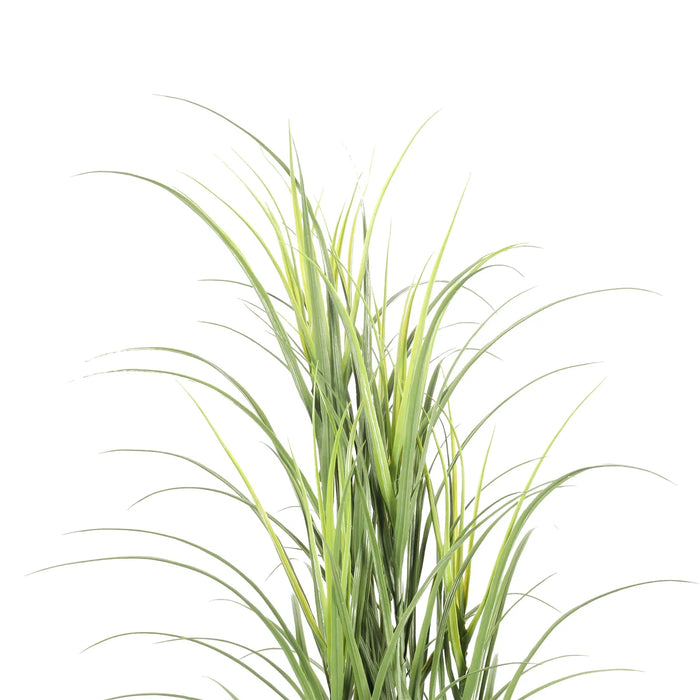 Long Grass Yucca in Pot 180cm Green UV Resistant