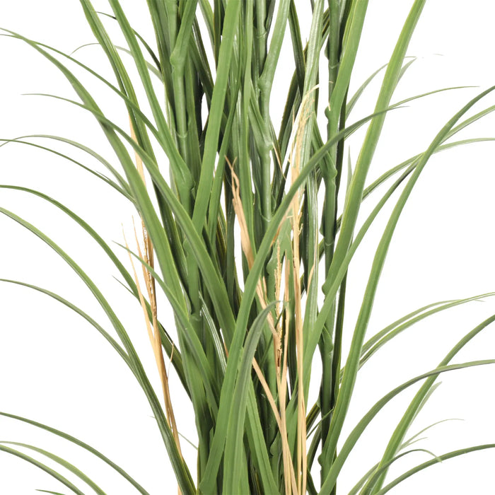 Long Grass Yucca in Pot 180cm Green UV Resistant