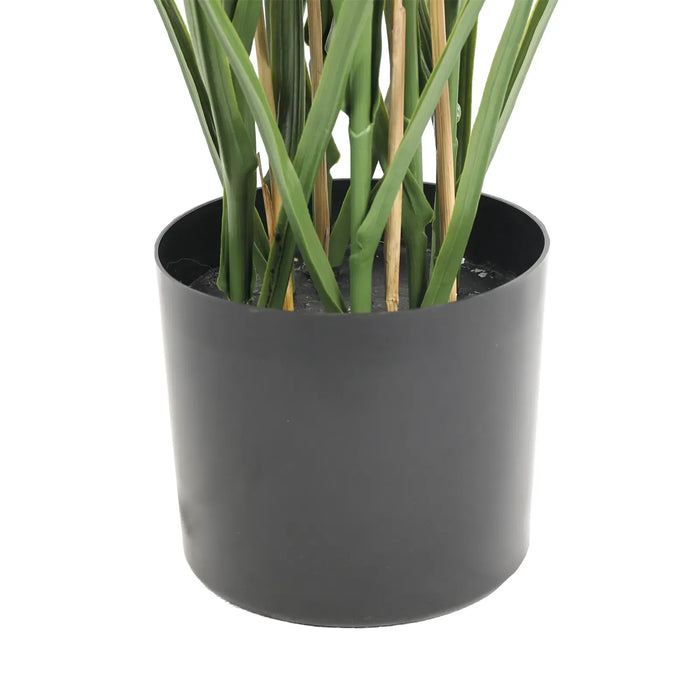 Long Grass Yucca in Pot 180cm Green UV Resistant