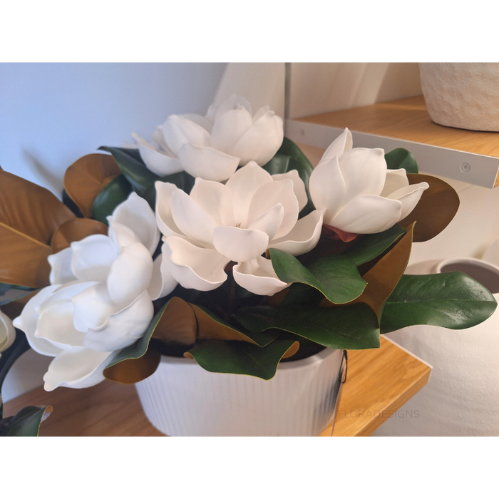 Magnolia Japanese Mix in Pot White 33cm