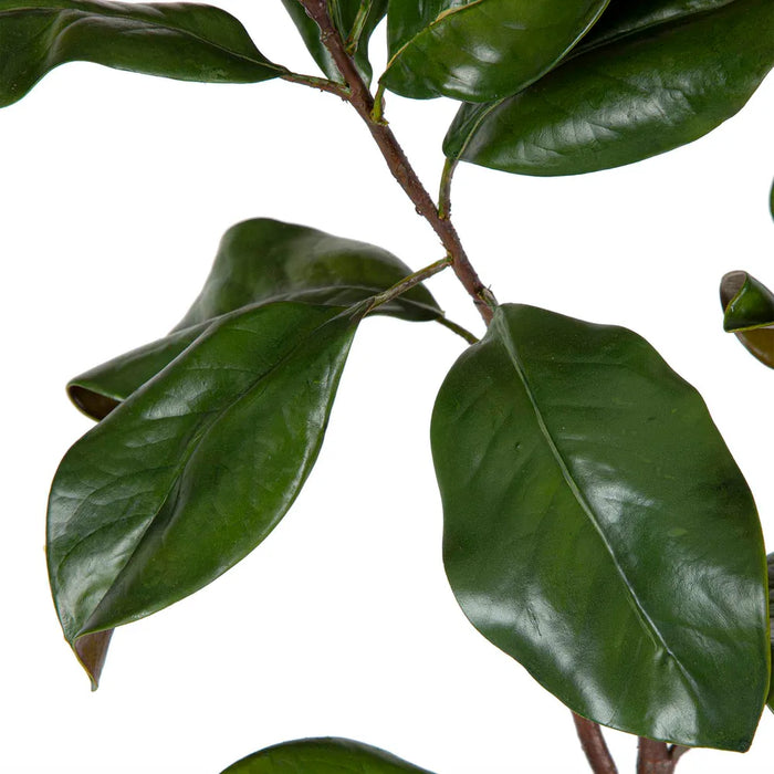 Magnolia Leaves Green 90cm Pack of 6