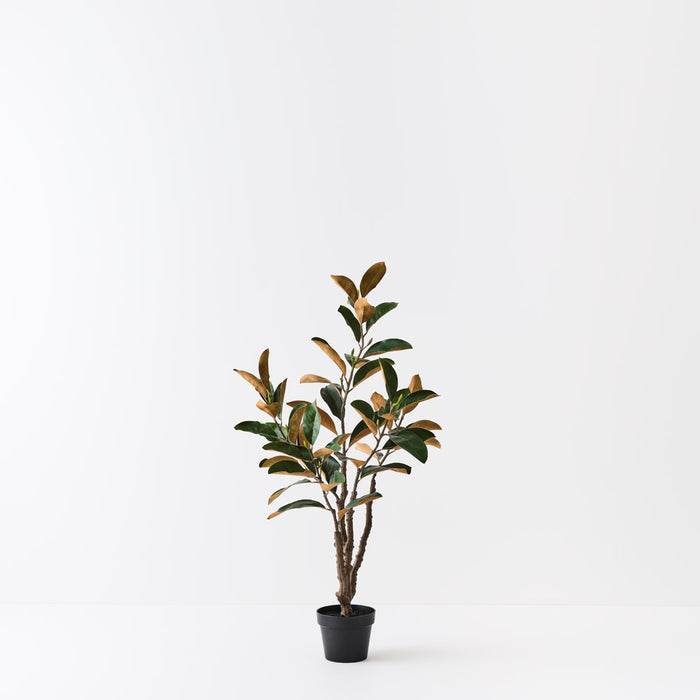 Magnolia Tree Green 120cm Pack of 2