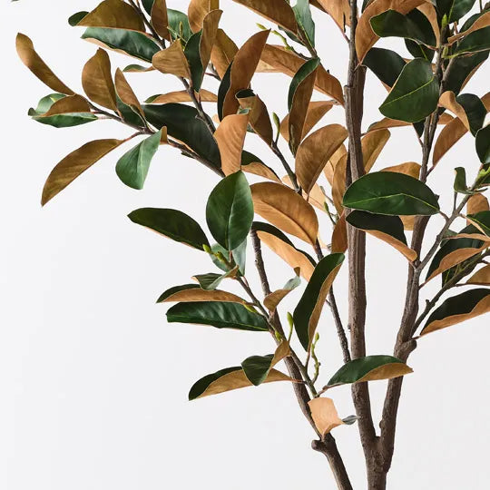 Magnolia Tree Green 180cm