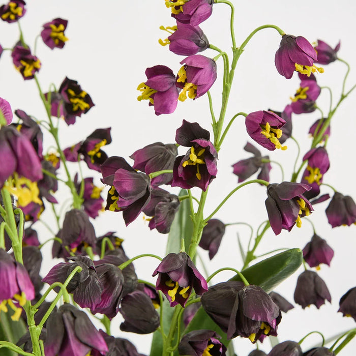 Mandine Arrangement 110cm Purple in Black Pot