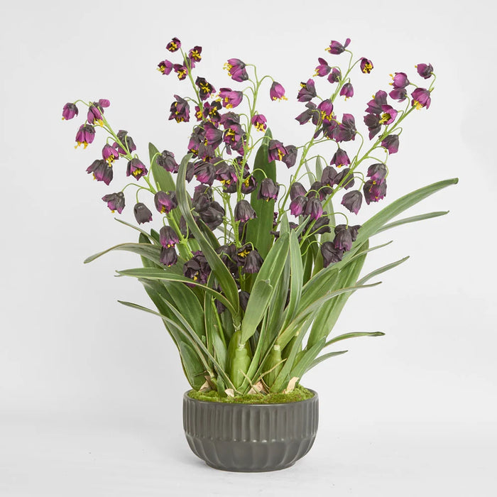 Mandine Arrangement 110cm Purple in Black Pot