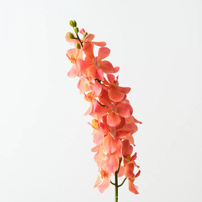 Mokara Orchid Spray 74cm Orange - Pack of 6