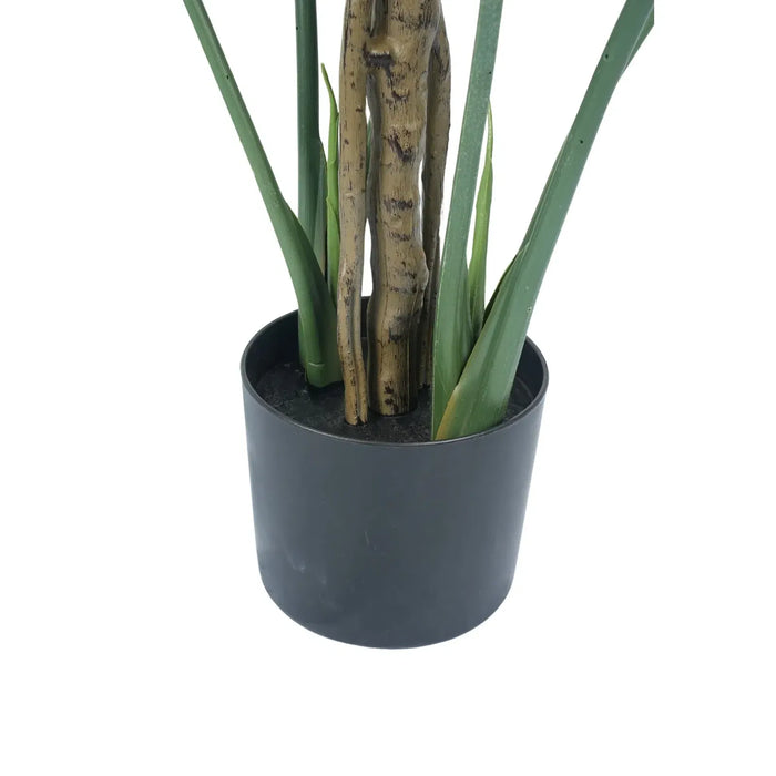 Monstera Split Leaf In Pot UV Resistant 150cm