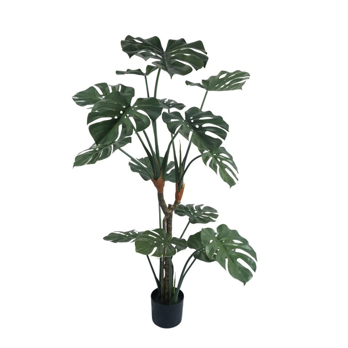 Monstera Split Leaf In Pot UV Resistant 150cm
