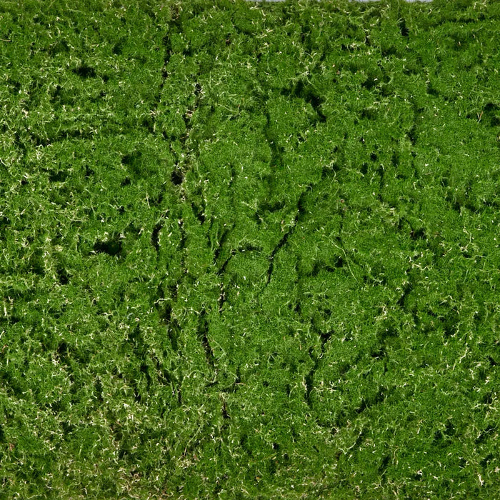 Moss Mat 100cm x 50cm Green Pack of 2