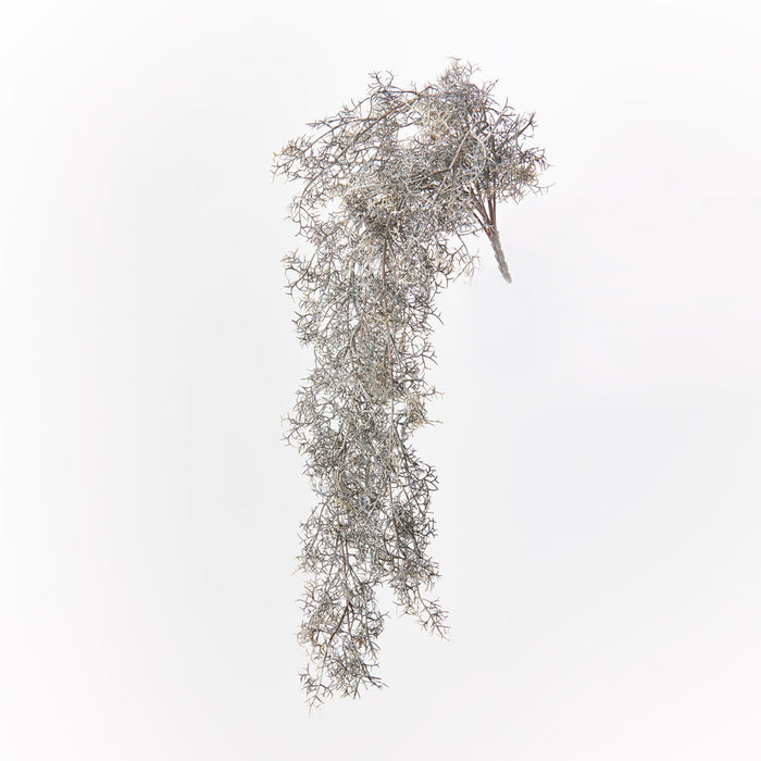 Moss Spanish Hanging Bush Coffee 78cm Pack of 6