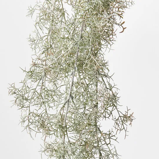 Moss Spanish Hanging Bush Green 78cm Pack of 6