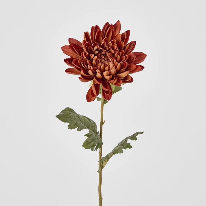 Mum Stem 69cm Brown Pack of 12