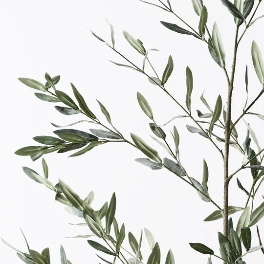 Olive Leaf Branch Green 180cm - Pack of 2