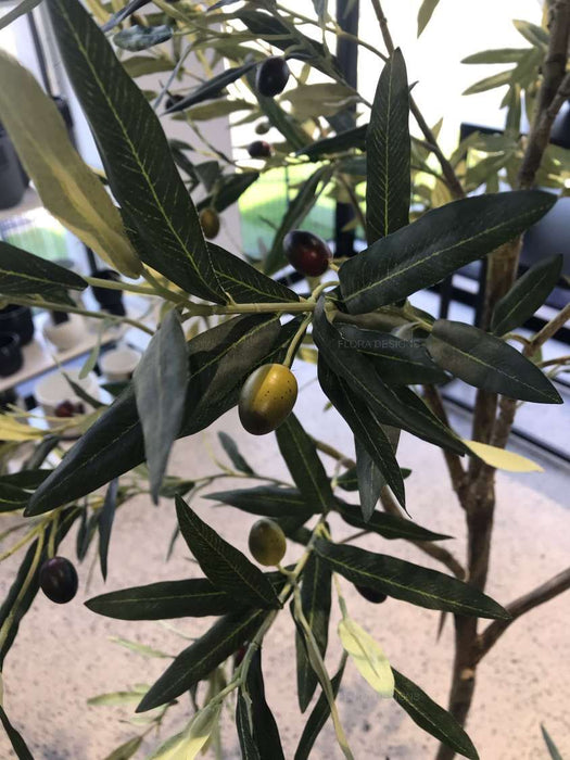 Olive Tree Green 213cm Pack of 2