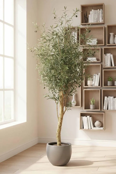 Olive Tree Green 150cm