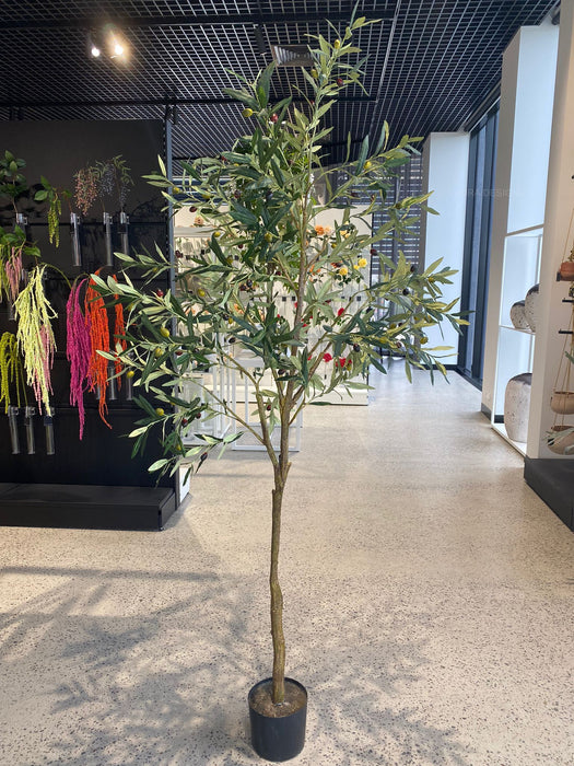 Olive Tree Green 213cm Pack of 2