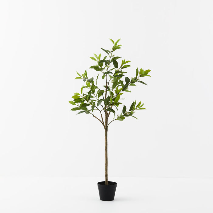Orange Blossom Tree Green 120cm - Pack of 2- For Clearance