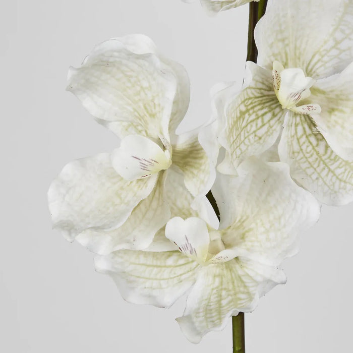 Orchid Stem Real Touch 78cm White Pack of 12