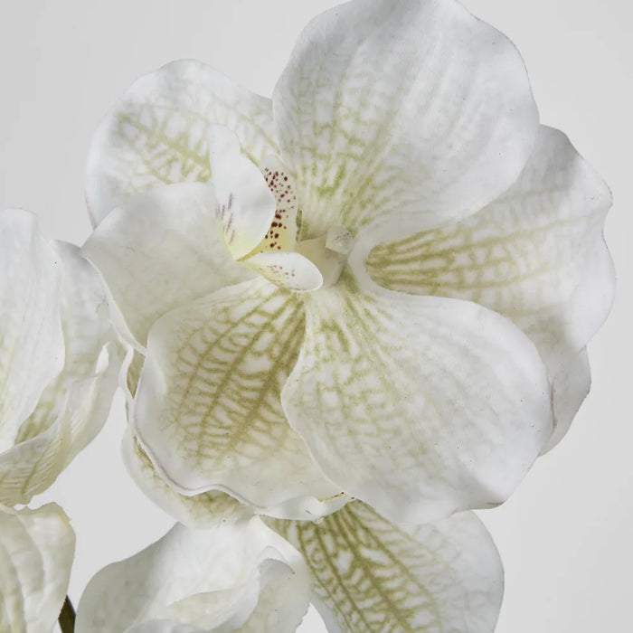 Orchid Stem Real Touch 78cm White Pack of 12