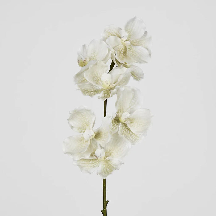 Orchid Stem Real Touch 78cm White Pack of 12