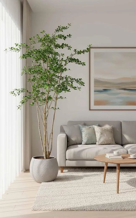 Oriental Olive Tree w Green 220cm